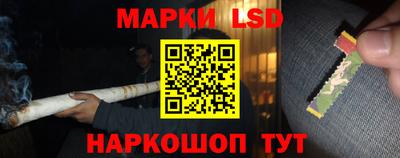 гашик Янаул