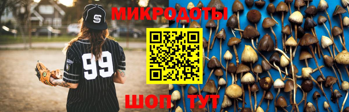Псилоцибиновые грибы Magic Shrooms  Вход с VPN  Майский  Псилоцибиновые грибы MAGIC MUSHROOMS 