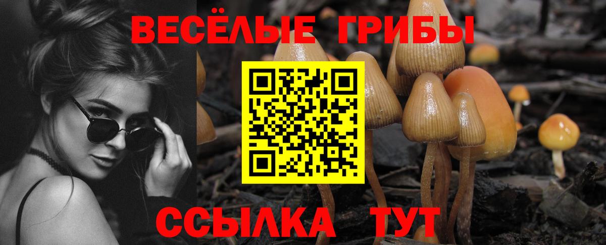 Псилоцибиновые грибы мицелий Майский